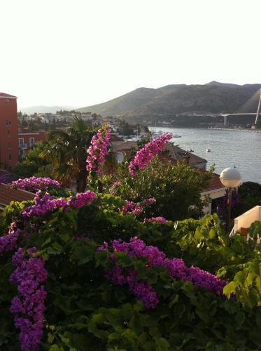 Vila Dana Apartment Dubrovnik