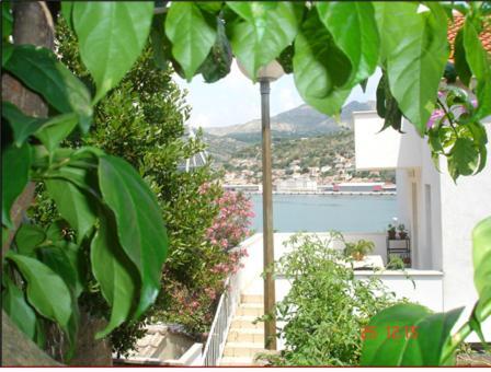 Apartment Vila Dana *